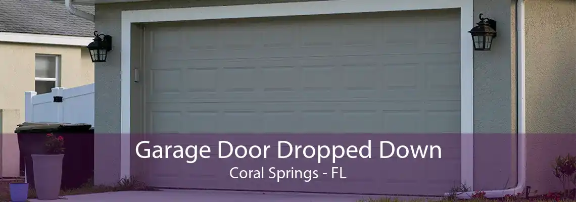 Garage Door Dropped Down Coral Springs - FL